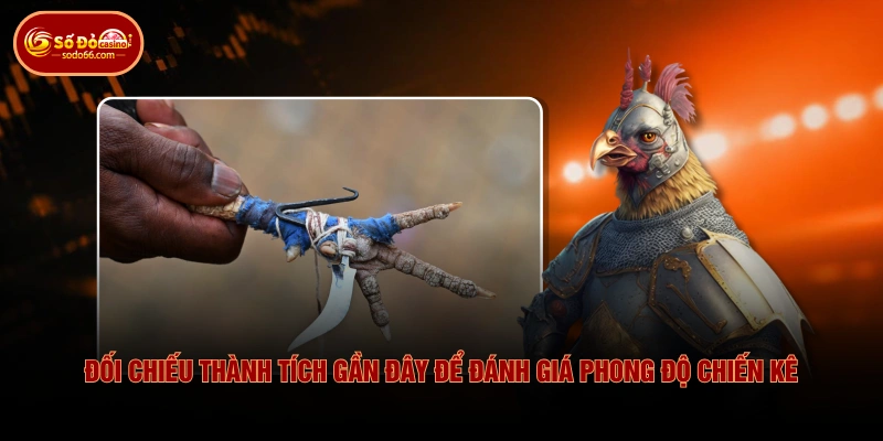 Kinh Nghiệm Soi Kèo Đá Gà SODO66 Giúp Chọn Cửa Chuẩn Xác 3 Kinh Nghiệm Soi Kèo Đá Gà SODO66 Giúp Chọn Cửa Chuẩn Xác Đối chiếu thành tích gần đây để đánh giá phong độ chiến kê
